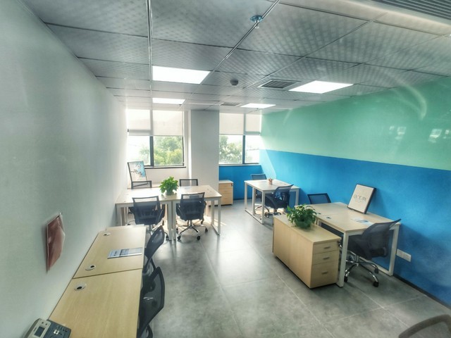 浙江公路绿化工程草皮